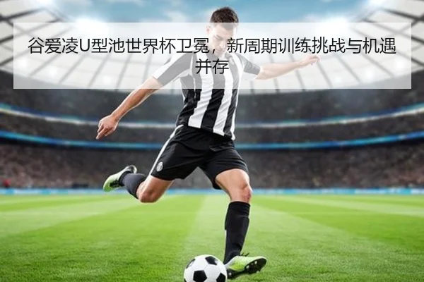 gu-ai-ling-xing-chi-shi-jie-bei-wei-mian-xin-zhou-qi-xun-lian-tiao-zhan-yu-ji-yu-bing-cun-3-152.jpg